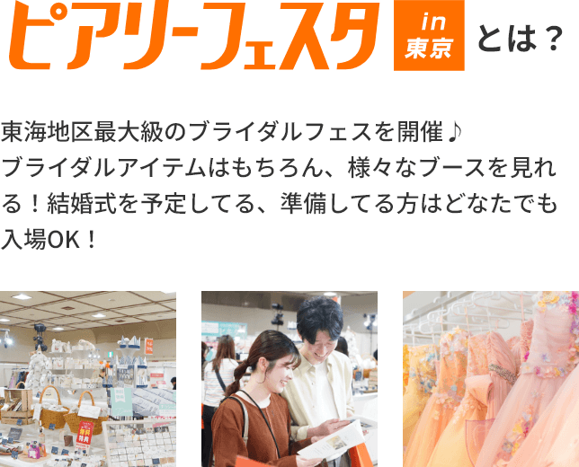 ピアり－フェスタとは？