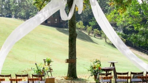 松本友恵カバー写真