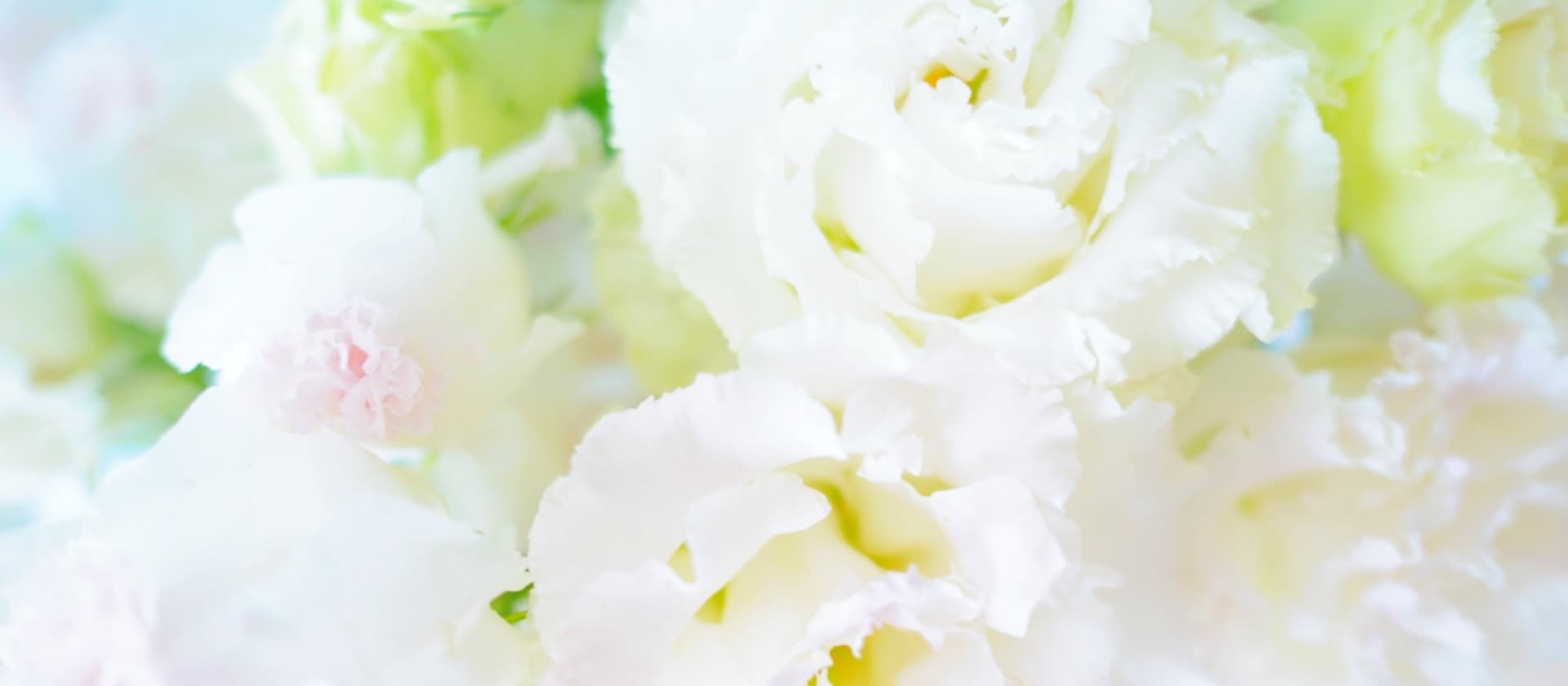 市村由起子カバー写真