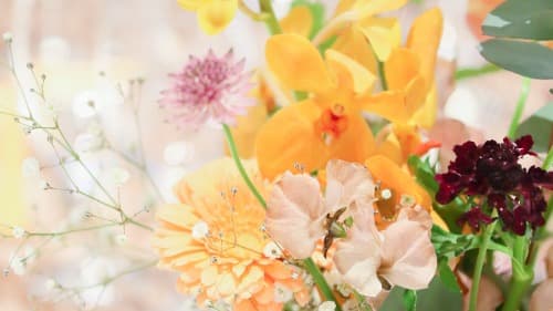 保榮茂千賀カバー写真