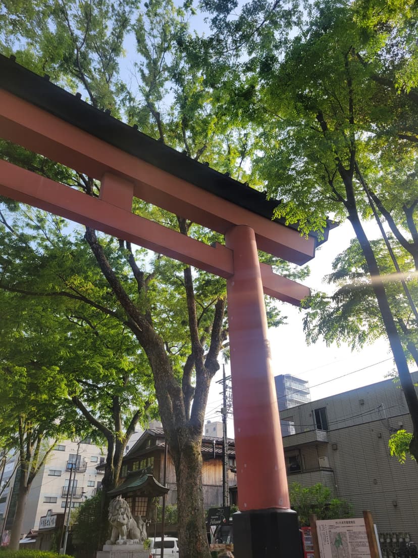 01692ed9-ca74-4ede-8cfe-4c4944e82993