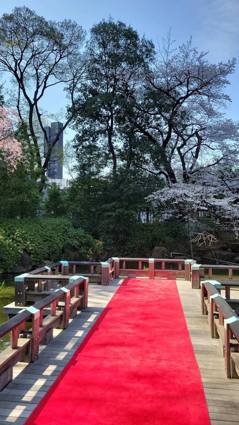 209eb97f-8070-484b-a0fb-51e2695af111