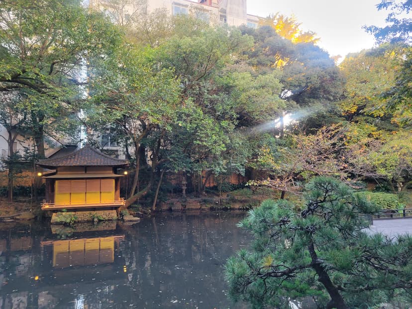 7b3febe1-c550-4fa8-a061-a9633d5aebdb