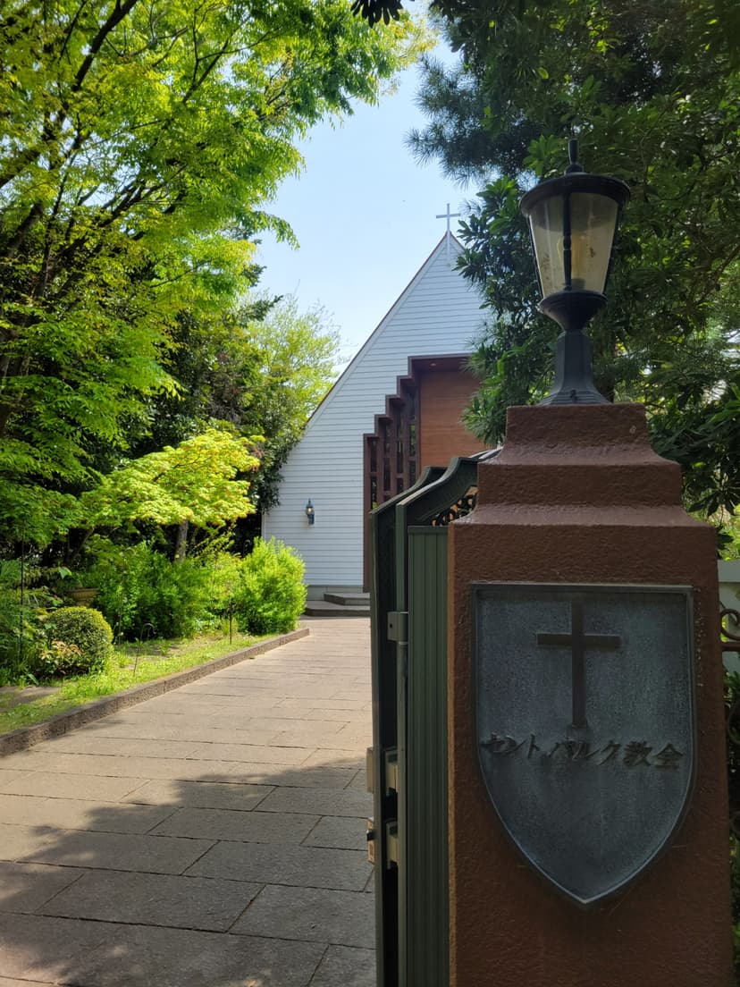 c61bcaa8-66b6-44cb-a3f0-aed49edf21fe