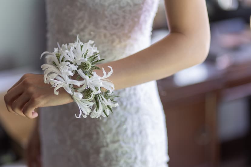 df0e8642-44fe-4261-88eb-8176c4619712