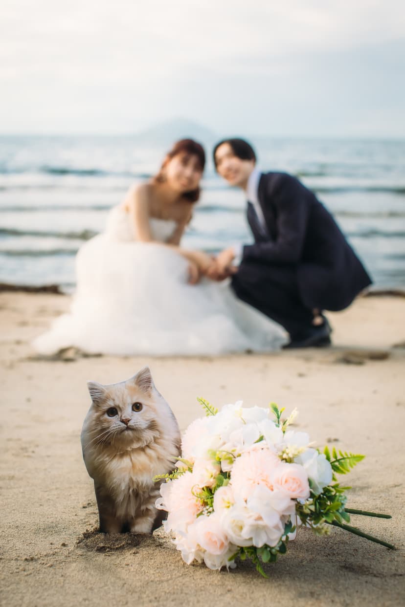 251005I-sama/photobus-206_Original - 松山あみ.jpeg